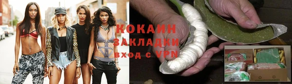 сатива Баксан